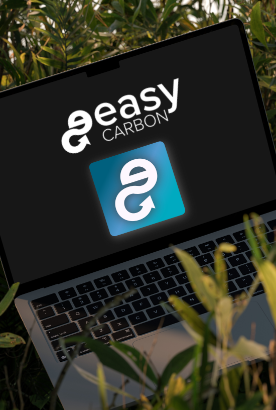 About Easy Carbon